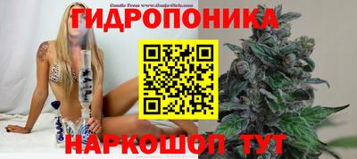 индика Бугуруслан
