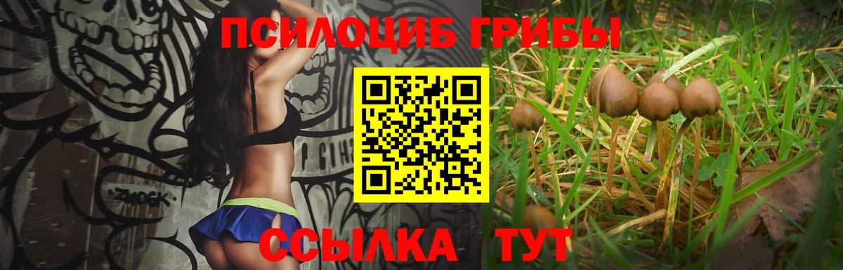 Ставрополь  Галлюциногенные грибы Psilocybine cubensis  Вход с VPN  Галлюциногенные грибы Psilocybe 